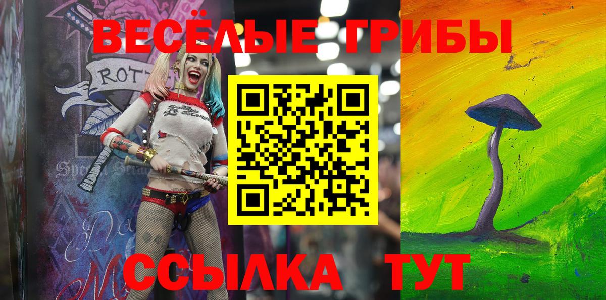 Галлюциногенные грибы Psilocybine cubensis Кольчугино