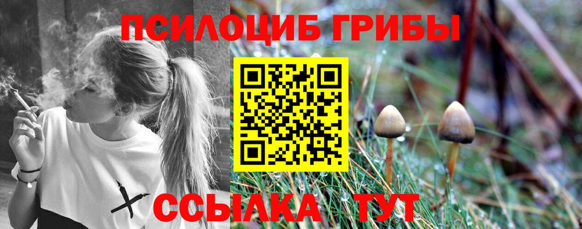 сколько стоит  Галлюциногенные грибы ЛСД  Псилоцибиновые грибы прущие грибы  Вход с VPN  Кольчугино 