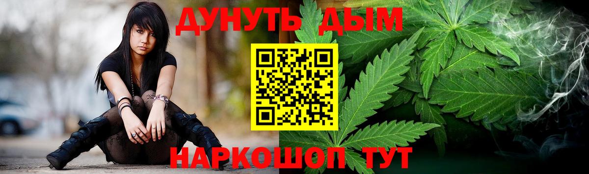 Конопля индика Кольчугино